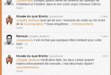 [Chapter 5] What does a Community Manager? The Quai Branly Museum example