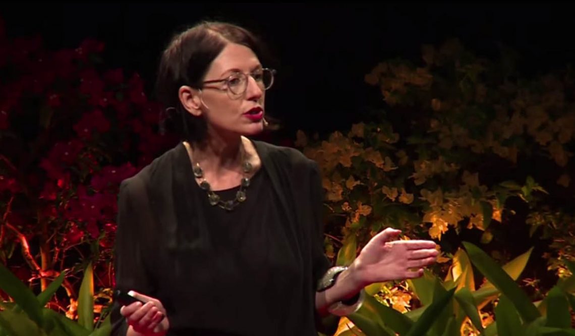[TEDx video] How will Museums of the future look?