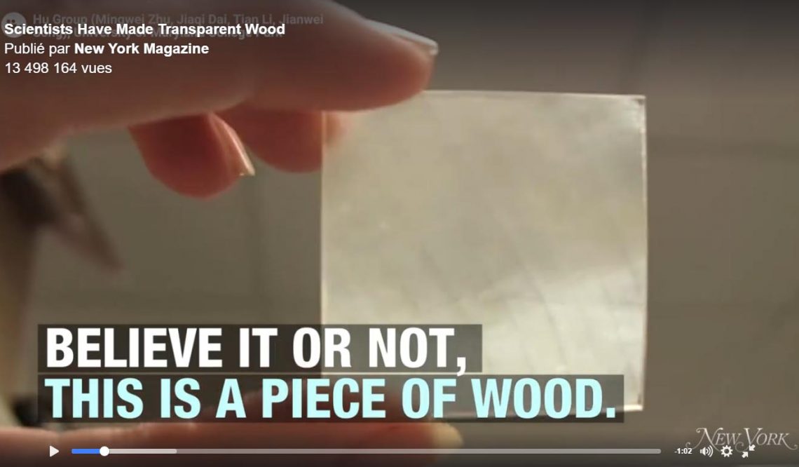 Wood but transparent, who’s interesting for?!
